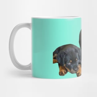 "Loyal Bond: Rottweiler Mothering" Mug